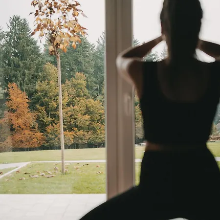 Gaestehaus Elisabeth Oberaichwald (Carinthia)