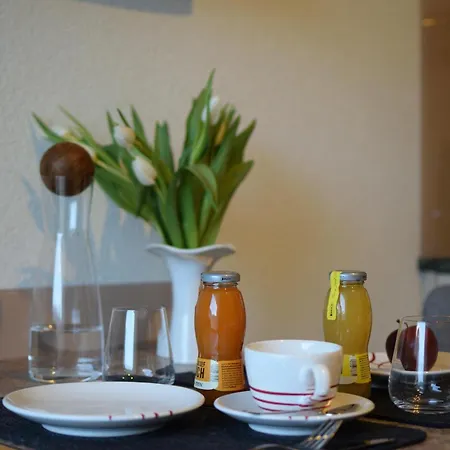 Gaestehaus Elisabeth בית הארחה Oberaichwald (Carinthia)