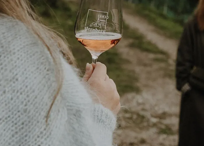 Gaestehaus Elisabeth Pensjonat Oberaichwald (Carinthia)