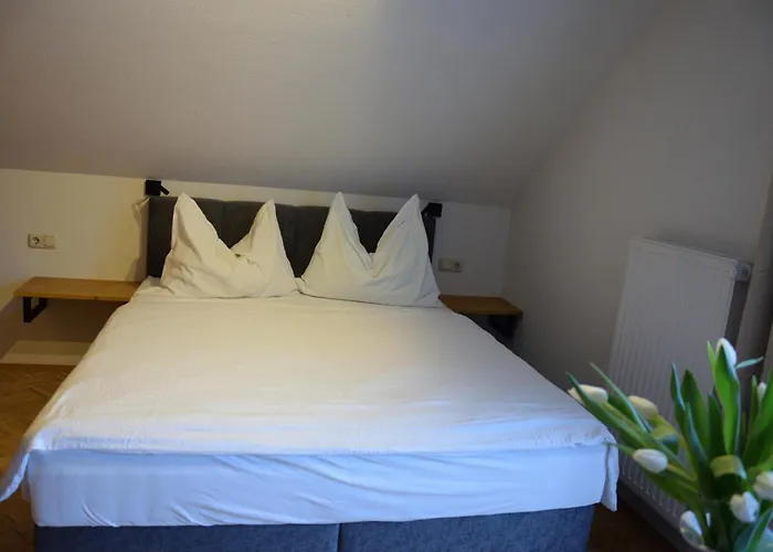 Pensjonat Gaestehaus Elisabeth Oberaichwald (Carinthia)